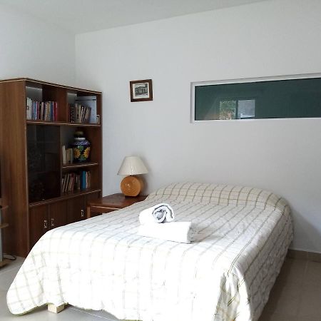 Milenio III B&B 케레타로 외부 사진